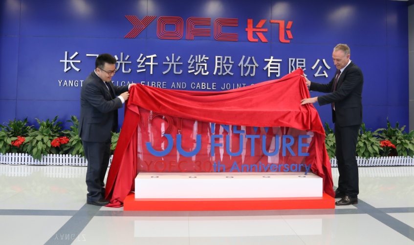 香港免费大全资料